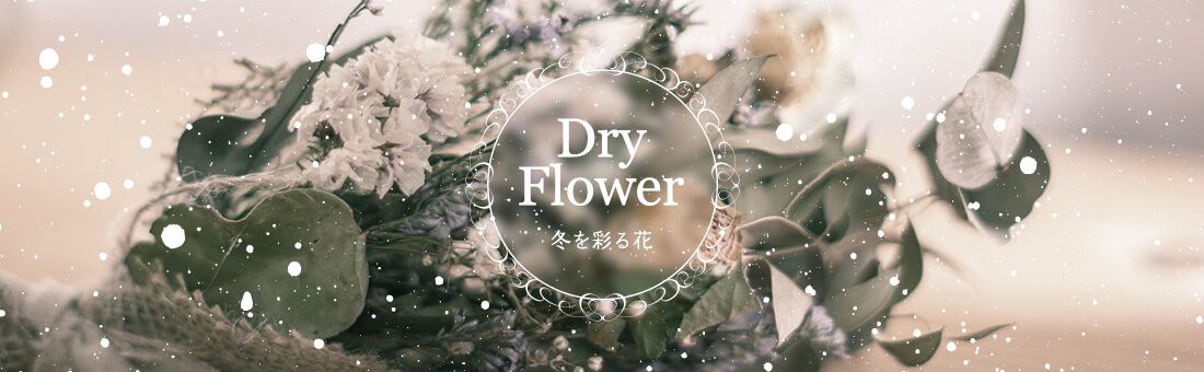 Dry Flower：冬を彩る花